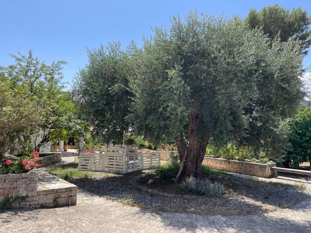 Il Giardino Degli Antichi Sapori Villa Ceglie Messapica Luaran gambar